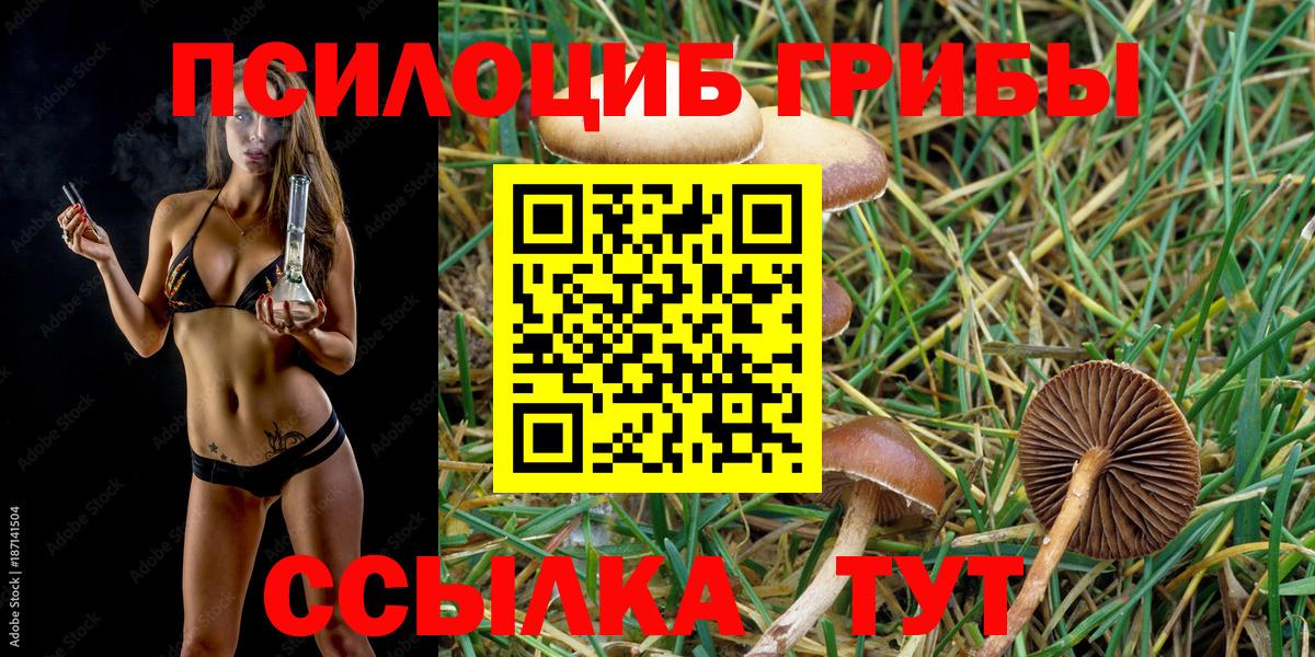 Псилоцибиновые грибы Magic Shrooms  Вход с VPN  Обнинск 
